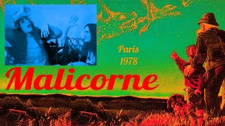 Malicorne Paris 1978 [upl. by Gui]