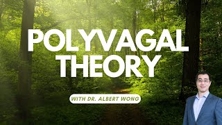 Polyvagal Theory The Basics [upl. by Noitsuj]