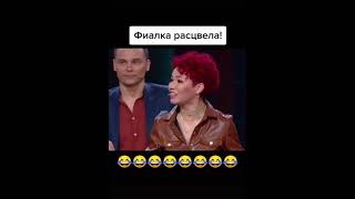 Фиалка расцвела 😆 Игра [upl. by Leugim403]