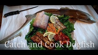 Catch and Cook Sand Shark aka dogfish [upl. by Aneret]