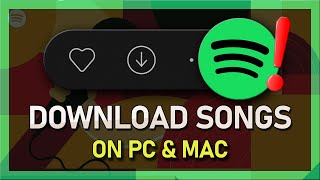 How To Download Songs from Spotify on PC amp Mac  Tutorial [upl. by Fradin491]