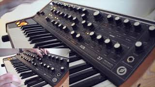 Cinematic Synths Moog Subsequent 37 ft Ventris Dual Reverb [upl. by Nayve]