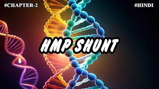 Chapter 2  Metabolism Of Carbohydrates Part11  HMP Shunt [upl. by Willabella]