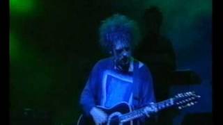 The Cure  From The Edge Of The Deep Green Sea Live 1995 [upl. by Airdni973]