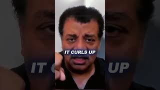 This CREATURE Came FROM SPACE  😲 w Neil DeGrasse Tyson [upl. by Burnight343]