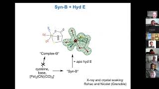 Hydrogenase Lectures 2022 Episode 3 Part 2 Tom Rauchfuss [upl. by Anidam404]