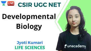 Developmental Biology  Life Sciences  Unacademy Live  CSIR UGC NET  Jyoti Kumari [upl. by Thorvald]