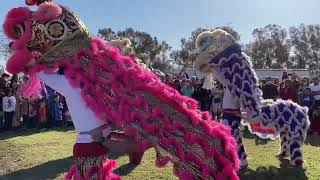 2023 OC Tet Lunar New Year Festival at Mile Square Park Fountain Valley CA Lion Dance [upl. by Odessa765]