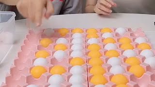 Have you ever seen playing Gomoku with ping pong balls using an egg carton Should I go easy on them [upl. by Towbin561]