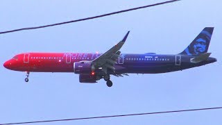 4K Special Livery Plane Spotting at Chicago OHare [upl. by Mayrim357]