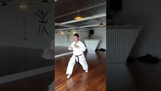 Basic Shukokai karate combinations [upl. by Weinert41]