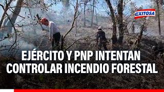 🔴🔵Lambayeque Ejército y PNP intentan controlar incendio forestal en Incahuasi [upl. by Belloir]