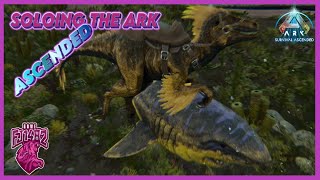 Taming a Megalodon With A Raptor Soloing ARK Ascended Ep 103 [upl. by Teloiv]