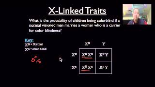 XLinked Trait Review [upl. by Rech]