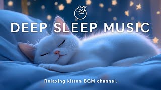 ✨ quotDreamy Nightscapes Deep Sleep Music with Relaxing Kitten Vibes 🌜🐱  Relaxing kitten BGM 125 [upl. by Aernda]