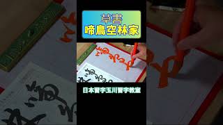 草書「啼鳥空林の家」 shorts 日本習字 calligraphy 書道 アート japanesecalligraphy 草書 [upl. by Drislane380]