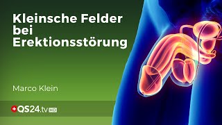 Erektionsprobleme und männliche Potenz  Kleinsche Felder  Marco Klein  QS24 [upl. by Worthington]