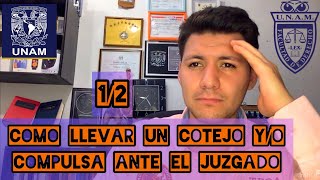 Como llevar un COTEJO o compulsa ante el JUZGADO 12 👨‍⚖️ [upl. by Tnecniv]