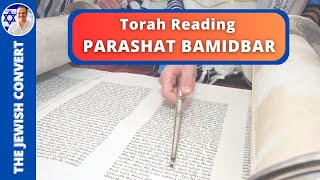 PARASHAT BAMIDBAR  Weekly Torah Reading in Hebrew amp English Translation  TORAH STUDY [upl. by Jorgan]