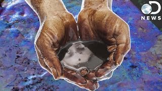 How Do We Clean Up Oil Spills [upl. by Ahsac]