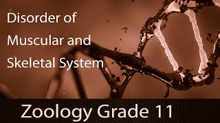 Locomotion amp Movement  Disorder Of Muscular amp Skeletal System  Detailed Explanation  Part 9 [upl. by Leslee]