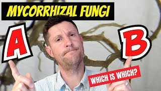 Mycorrhizal Fungi  Know what type you need in your garden [upl. by Aiyram384]