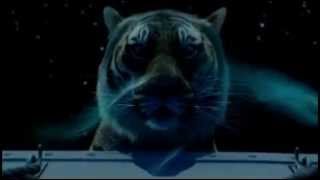 Life of Pi  The Tiger Clip  In Cinemas Now [upl. by Giovanna334]