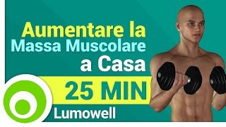 Esercizi da Fare a Casa per Aumentare la Massa Muscolare  Allenamento Completo [upl. by Aniarrol39]