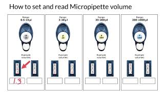 How do you read and set a micropipette [upl. by Birdt]