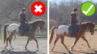 How To Get Your Horse On The Bit STEPBYSTEP GUIDE [upl. by Greene]