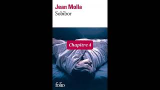 4  Sobibor  livre audio  Chapitre 4  Jean Molla  lecture et résumé [upl. by Alburg]