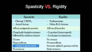 Spasticity vs Rigity amp Decerebrate vs Decorticate [upl. by Gare]