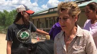 Hippotherapy at Equestrian Connection [upl. by Jerrol]