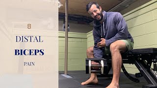 How to Fix Your Distal Biceps Pain Tendonitis [upl. by Haynes]