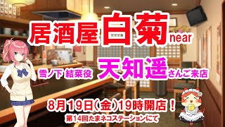 たまネコステーション第１４回放送！「居酒屋白菊near」雪ノ下結菜役「天知遥」さんご来店回！ [upl. by Laekcim]