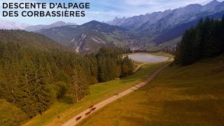 Descente de lalpage des Corbassières [upl. by Caneghem]