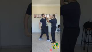 Fragmentos do Ving Tsun  23 vingtsunkungfu vingtsun wingchun wingchunkungfu martialarts [upl. by Hodges]