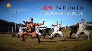 八段锦 · Ba Duan Jin 8 Brocade Exercise Qi Gong [upl. by Boudreaux]