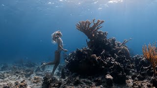 Jewels of Andros  Freediving the Blue Holes of Andros Bahamas [upl. by Mic]