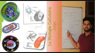 Introduction à la Biologie cellulaire Et la différence entre La Cellule Eucaryote et Procaryote [upl. by Jaddo]