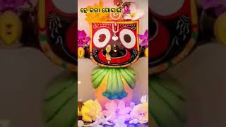 Kathi kuta thoi kete asa nei pakhibandhithae basa 🙏🥰🙏status shortsviral shortsfeed odia [upl. by Ahsan]