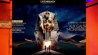 Tutankhamun a magnificent immersive pharaonic exhibition in Paris [upl. by Siuqramed]