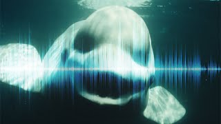 5 Creepiest Sounds in the Ocean Ever Recorded [upl. by Nylirret902]