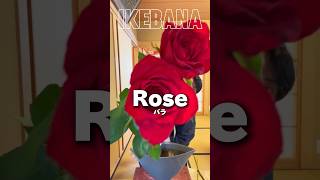 What do you think this Ikebana🌹flowerarrangementtutorial [upl. by Carmen]