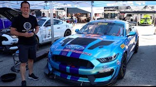 How is the 2019 Ford Mustang GT4 the ULTIMATE Shelby GT350R [upl. by Llerrehc]