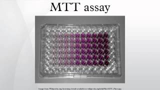 MTT assay [upl. by Michelina621]