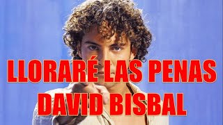 LLORARÉ LAS PENAS  DAVID BISBAL [upl. by Sokul]