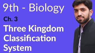 9th Class Biology  Chapter 3  Three Kingdom Classification System [upl. by Nnaeirual]