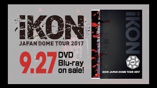 RHYTHM TA REMIX Rock Ver from iKON JAPAN DOME TOUR 2017 [upl. by Annoynek]