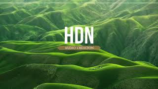 Track jincheng zhang INSTRUMENTAL  No Copyright  HDN audio creación [upl. by Nnor]